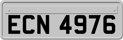 ECN4976