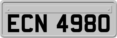 ECN4980