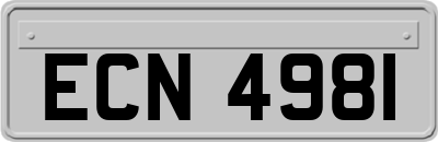 ECN4981