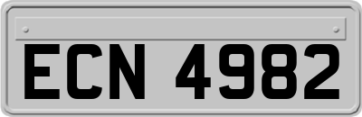 ECN4982
