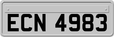 ECN4983
