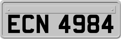 ECN4984