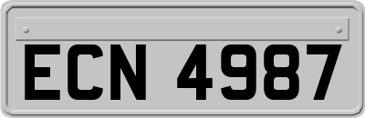 ECN4987