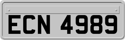 ECN4989
