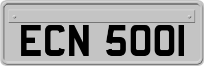 ECN5001