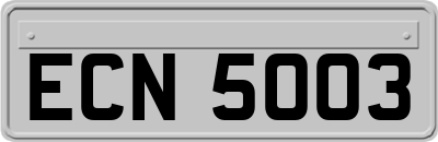 ECN5003