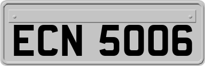 ECN5006