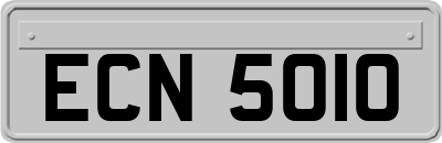 ECN5010