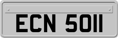 ECN5011