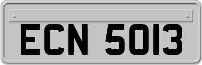 ECN5013