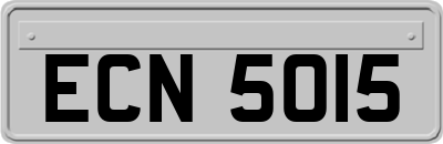 ECN5015