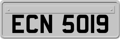 ECN5019