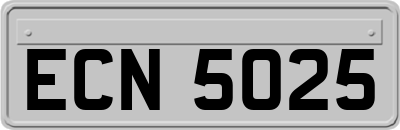 ECN5025