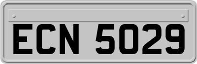 ECN5029