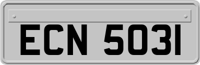 ECN5031