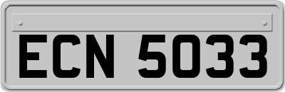 ECN5033