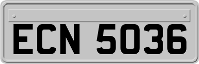ECN5036