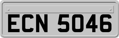 ECN5046