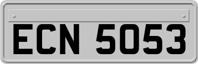 ECN5053