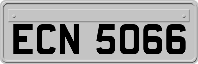 ECN5066