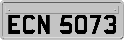 ECN5073