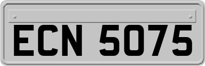 ECN5075