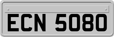 ECN5080