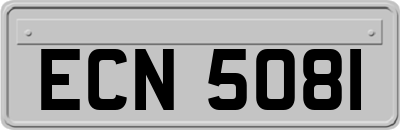 ECN5081