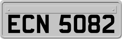 ECN5082