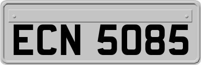 ECN5085