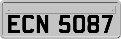 ECN5087