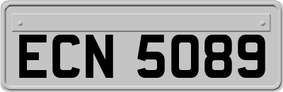 ECN5089