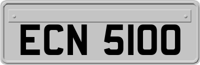 ECN5100