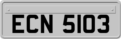 ECN5103