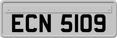 ECN5109