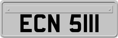 ECN5111