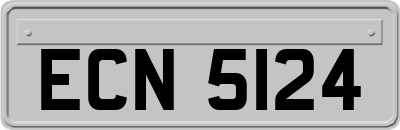 ECN5124