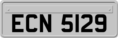 ECN5129