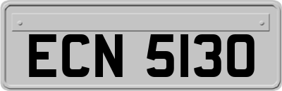 ECN5130