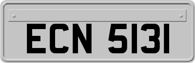 ECN5131