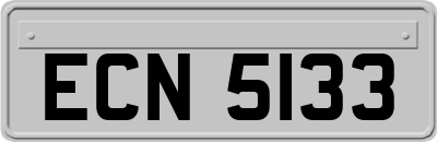 ECN5133