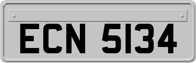 ECN5134