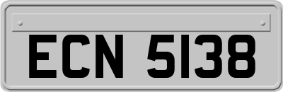 ECN5138