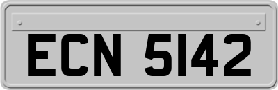 ECN5142