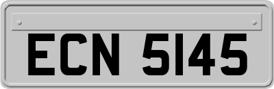 ECN5145