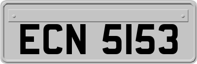 ECN5153