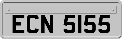 ECN5155