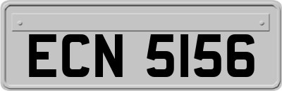 ECN5156