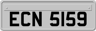 ECN5159