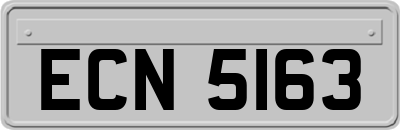 ECN5163
